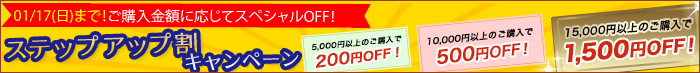 トクトクキャンペーン